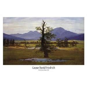 Caspar David Friedrich   Der Einsame Baum Poster Kunstdruck (91 x 61cm 