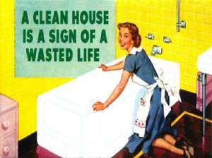 Clean House Wasted Life Vintage Funny dvd rock t shirt  