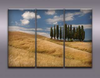 quadri canvas tela TOSCANA Tuscany Italy modern art  
