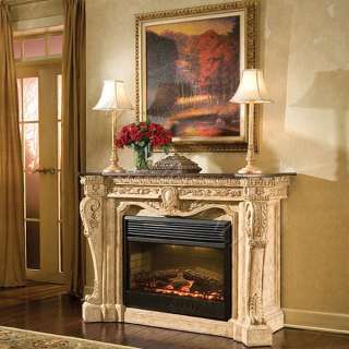 Cast Stone Carved Electric Fireplace  Your Dreams Just Came True