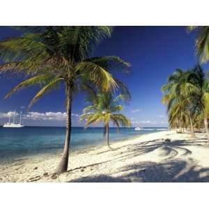  Tropical Beach on Isla de la Juventud, Cuba Premium 