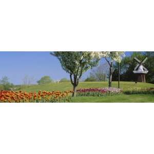 Flowering Plants in Front of a Traditional Windmill in a Park, Grand 