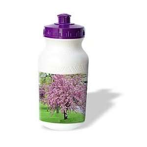   Trees   Pink Cherry Blossom Tree On Green Grass   Water Bottles