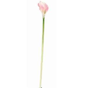   Natural Dark Pink Calla Lilly Silk Flower (12 Stems)