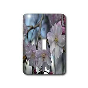 WhiteOak Photography Floral Prints   Cherry Blossom Tree 