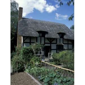 Anne Hathaways Cottage, Stratford upon Avon, England Photographic 