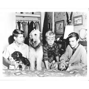  MY THREE SONS STANLEY LIVINGSTON CHIP DON GRADY ROBBIE AND 
