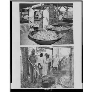  Men cooking,rally,Eugene Talmadge, Moultrie, GA 1942