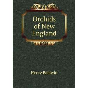  Orchids of New England Henry Baldwin Books