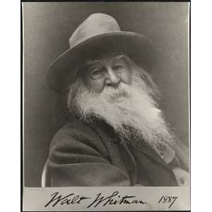  Walter Walt Whitman,1819 1892,American poet