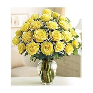 Ultimate Elegance Long Stem Yellow Roses   Two Dozen Yellow Roses