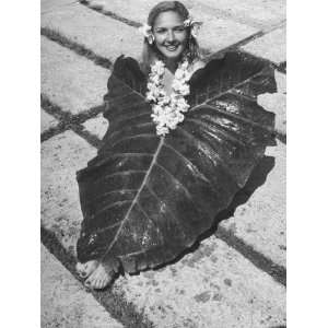  Young Girl Hiding under an Elephant Ear Plant Stretched 
