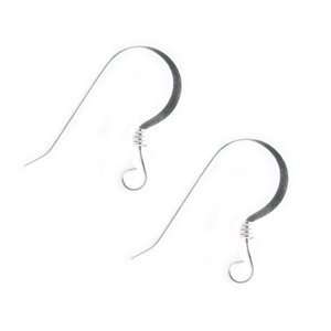   Fish Hook or Shepherd Hook) Earring Hooks with Coil (10) Arts, Crafts