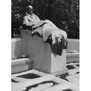  Founder of Sanatorium Edward L. Trudeau Reclining Statue 