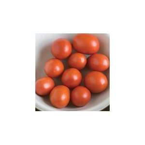  Davids Red Organic Hybrid Salsa Tomato Monica 10 Seeds 
