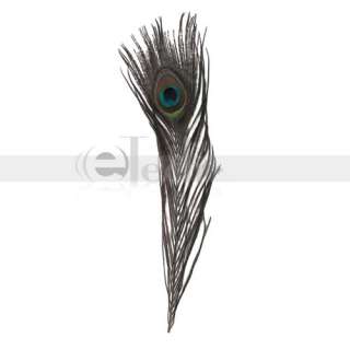 200pcs 10 12 Natural Peacock Feather House Decoration