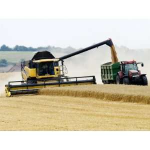  Yellow New Holland Combine Harvester Unloading Grain into 
