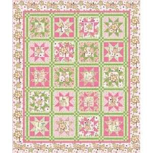  Frolicking Stars Quilt Kit by Wendy Stotboom Arts, Crafts 