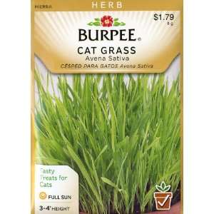    Burpee 54297 Herb Cat Grass Seed Packet: Patio, Lawn & Garden