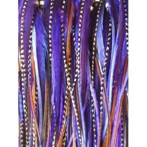   Feathers for Hair Extension with 2 Silicone Micro Crimp Beads Beauty